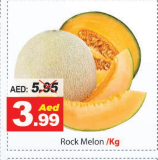 Melon available at ديزرت فريش ماركت in الإمارات العربية المتحدة , الامارات - أبو ظبي