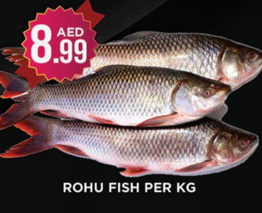 available at Ainas Al madina hypermarket in UAE - Sharjah / Ajman