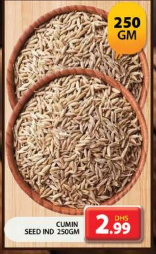 Cumin available at جراند هايبر ماركت in الإمارات العربية المتحدة , الامارات - دبي