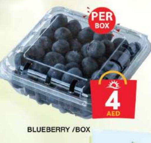 Blueberry BlueBerry available at جراند هايبر ماركت in الإمارات العربية المتحدة , الامارات - دبي