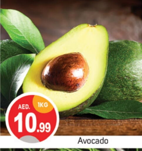 Avocado available at سوق طلال in الإمارات العربية المتحدة , الامارات - دبي