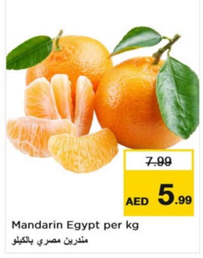 Orange from Egypt available at Last Chance  in UAE - Fujairah