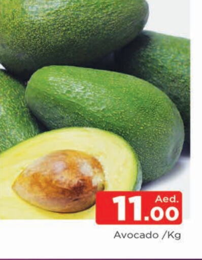 Avocado available at المدينة in الإمارات العربية المتحدة , الامارات - الشارقة / عجمان