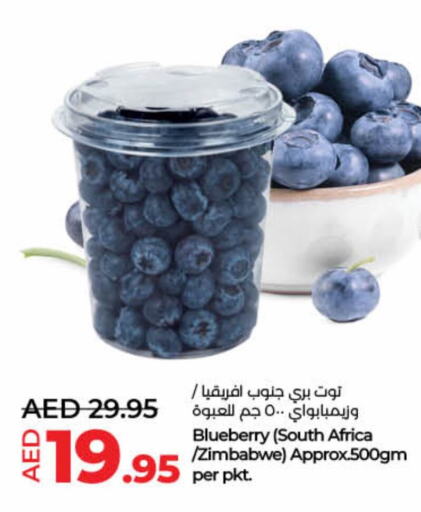 Blueberry BlueBerry from South Africa Zimbabwe available at لولو هايبرماركت in الإمارات العربية المتحدة , الامارات - ٱلْفُجَيْرَة‎