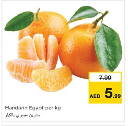 برتقال from Egypt available at نستو هايبرماركت in الإمارات العربية المتحدة , الامارات - الشارقة / عجمان