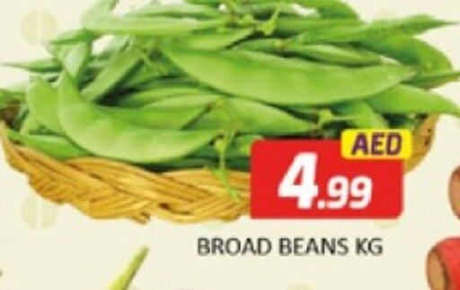 Beans available at Al Madina  in UAE - Dubai