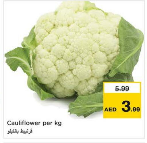 Cauliflower available at Nesto Hypermarket in UAE - Abu Dhabi