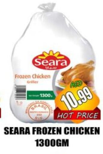 SEARA Frozen Whole Chicken available at Majestic Plus Hypermarket in UAE - Abu Dhabi