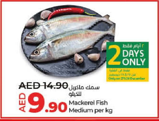 available at Lulu Hypermarket in UAE - Umm al Quwain