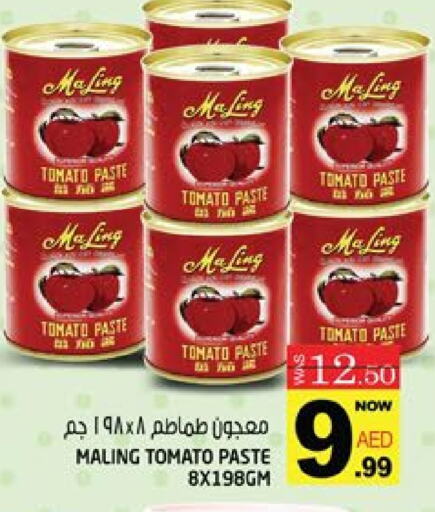 Tomato Paste available at Hashim Hypermarket in UAE - Sharjah / Ajman