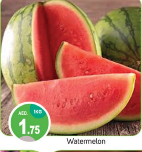 Watermelon available at TALAL MARKET in UAE - Dubai