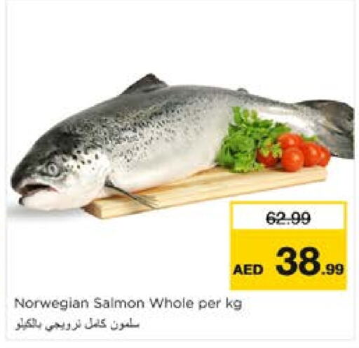 available at Nesto Hypermarket in UAE - Al Ain