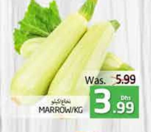 Marrow available at PASONS GROUP in UAE - Al Ain