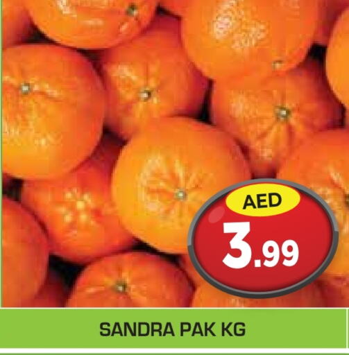 available at سنابل بني ياس in الإمارات العربية المتحدة , الامارات - أبو ظبي