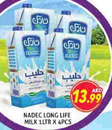 NADEC Long Life / UHT Milk available at Palm Centre LLC in UAE - Sharjah / Ajman