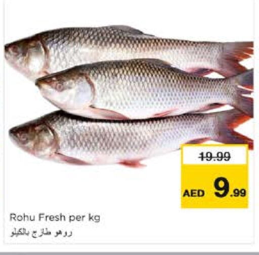 available at Nesto Hypermarket in UAE - Al Ain