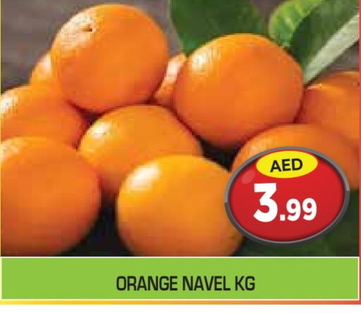 برتقال available at سنابل بني ياس in الإمارات العربية المتحدة , الامارات - ٱلْعَيْن‎