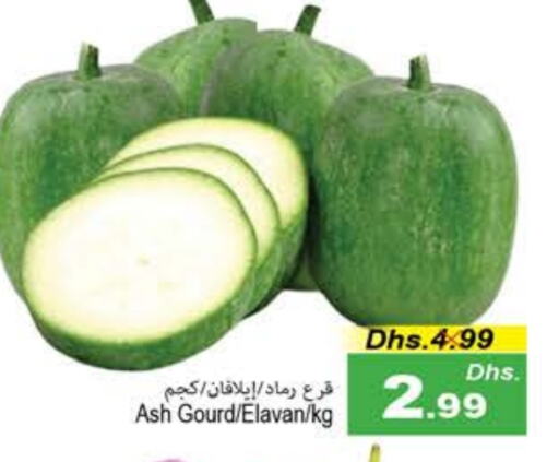 Gourd available at PASONS GROUP in UAE - Fujairah