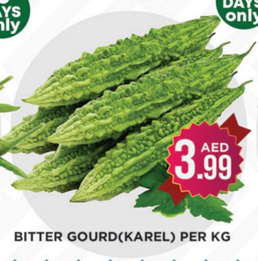 Bitter Gourd available at Ainas Al madina hypermarket in UAE - Sharjah / Ajman