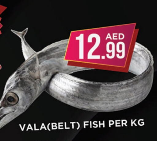 available at Ainas Al madina hypermarket in UAE - Sharjah / Ajman