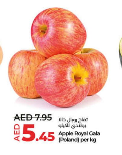 Apples from Poland available at Lulu Hypermarket in UAE - Fujairah