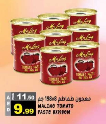 Tomato Paste available at Hashim Hypermarket in UAE - Sharjah / Ajman