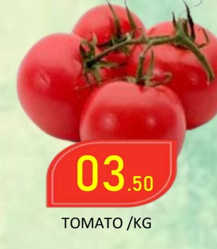 Tomato available at رويال جلف هايبرماركت in الإمارات العربية المتحدة , الامارات - أبو ظبي