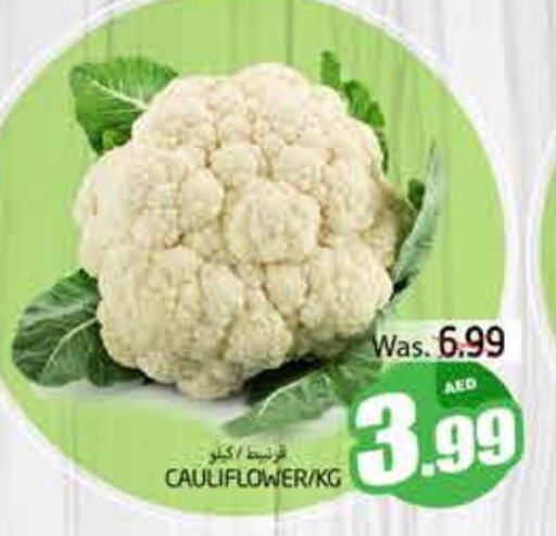 Cauliflower available at PASONS GROUP in UAE - Al Ain