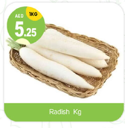 Radish available at TALAL MARKET in UAE - Dubai