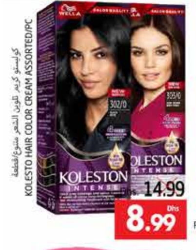 Hair Colour available at PASONS GROUP in UAE - Al Ain