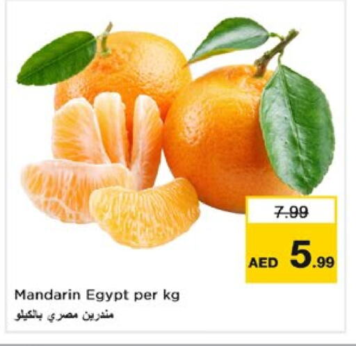 برتقال from Egypt available at نستو هايبرماركت in الإمارات العربية المتحدة , الامارات - الشارقة / عجمان