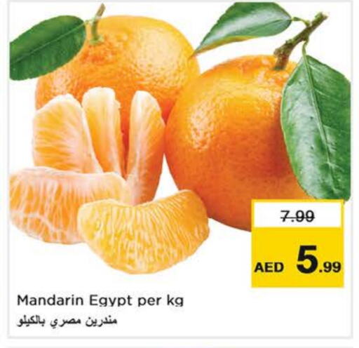 برتقال from Egypt available at نستو هايبرماركت in الإمارات العربية المتحدة , الامارات - أبو ظبي