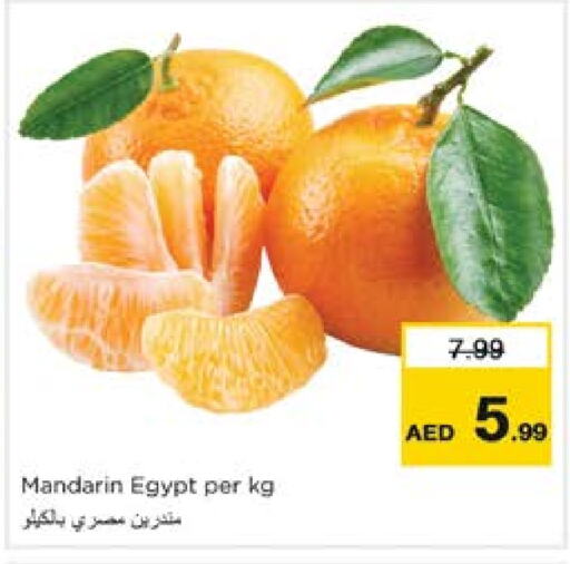 برتقال from Egypt available at نستو هايبرماركت in الإمارات العربية المتحدة , الامارات - الشارقة / عجمان