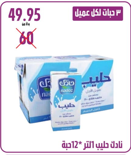 نادك حليب مجفف available at كرز هايبرماركت in مملكة العربية السعودية, السعودية, سعودية - عنيزة