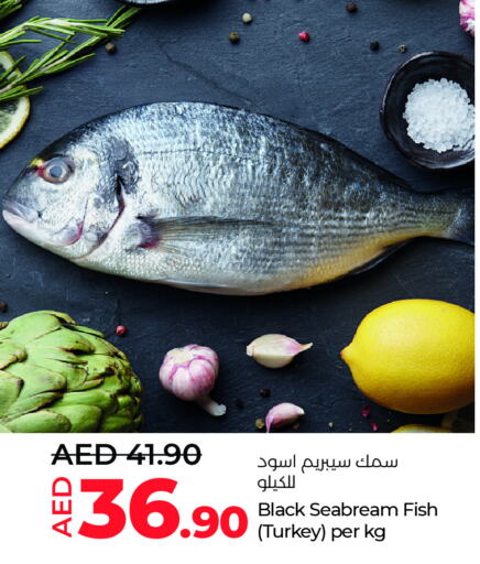 available at Lulu Hypermarket in UAE - Al Ain