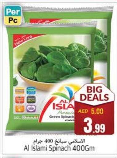 Spinach available at PASONS GROUP in UAE - Fujairah