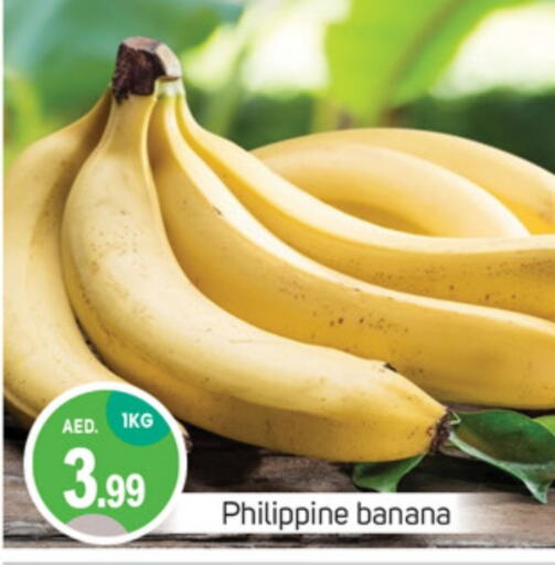 Banana from Philippines available at TALAL MARKET in UAE - Sharjah / Ajman