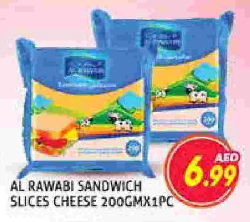 Slice Cheese available at Palm Centre LLC in UAE - Sharjah / Ajman