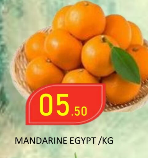 from Egypt available at رويال جلف هايبرماركت in الإمارات العربية المتحدة , الامارات - أبو ظبي