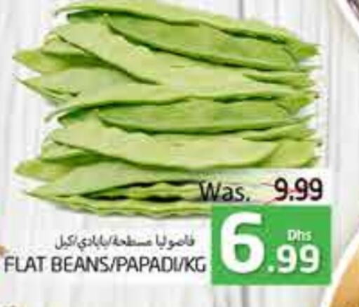 Beans available at PASONS GROUP in UAE - Al Ain