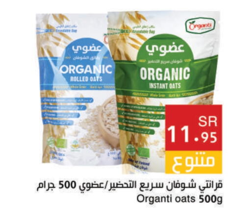 Oats available at Hala Markets in KSA, Saudi Arabia, Saudi - Jeddah