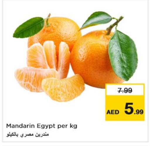 Orange from Egypt available at Nesto Hypermarket in UAE - Fujairah