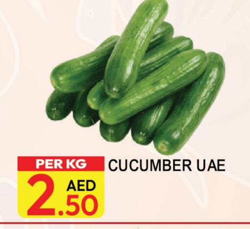 خيار available at دريم لاند in الإمارات العربية المتحدة , الامارات - دبي