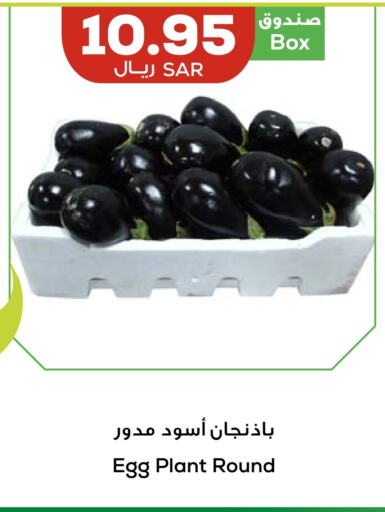 available at أسواق أسترا in مملكة العربية السعودية, السعودية, سعودية - تبوك