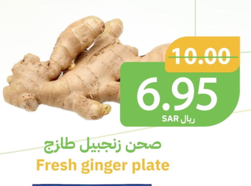 زنجبيل available at أسواق قاطبة in مملكة العربية السعودية, السعودية, سعودية - بريدة