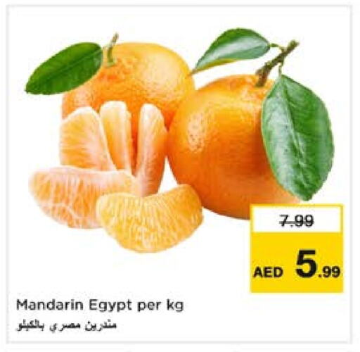 برتقال from Egypt available at نستو هايبرماركت in الإمارات العربية المتحدة , الامارات - الشارقة / عجمان