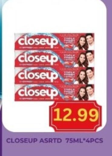 CLOSE UP Toothpaste available at Majestic Supermarket in UAE - Abu Dhabi