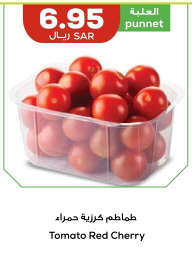 طماطم available at أسواق أسترا in مملكة العربية السعودية, السعودية, سعودية - تبوك