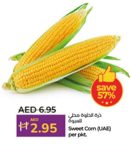 available at لولو هايبرماركت in الإمارات العربية المتحدة , الامارات - ٱلْفُجَيْرَة‎