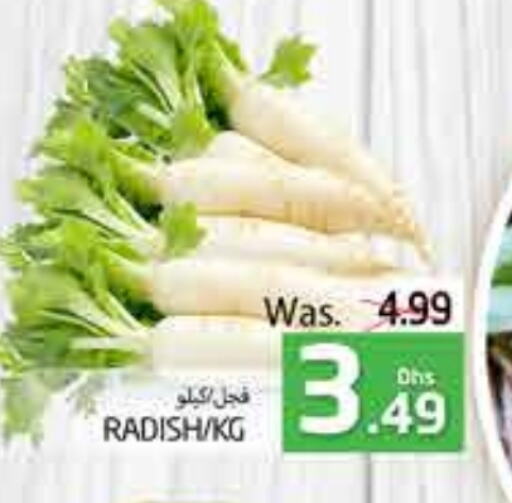 Radish available at PASONS GROUP in UAE - Al Ain